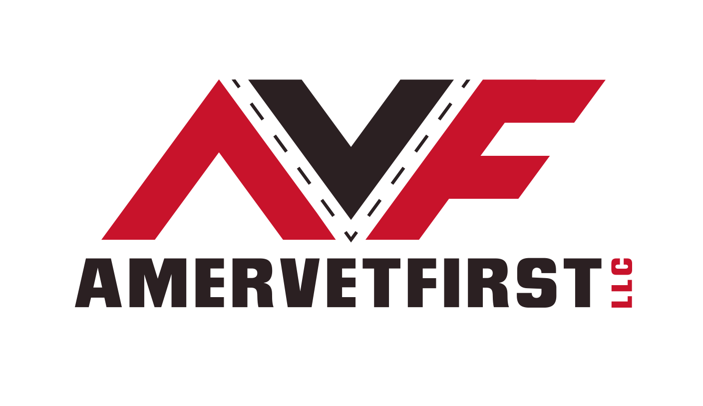 AMERVETFIRST LLC